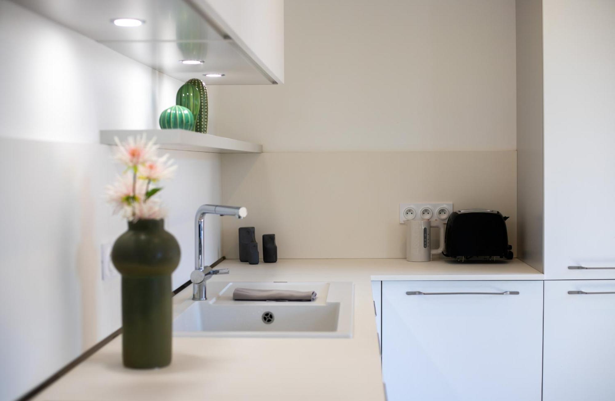 Duplex Albigny 3 Minutes Du Lac 阿讷西 外观 照片